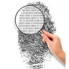 EstudiointegralconfiabINICIO-1